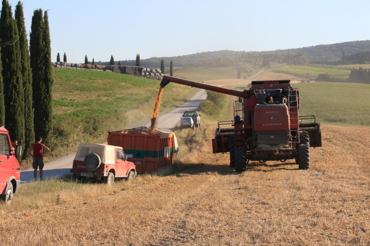 מונטרוני ד'ארביה Agriturismo La Roverella מראה חיצוני תמונה