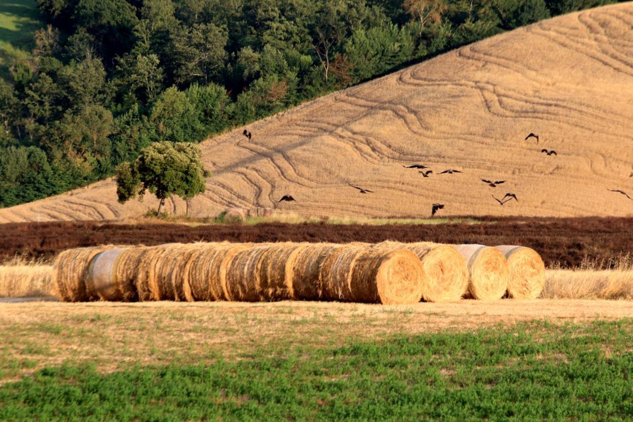מונטרוני ד'ארביה Agriturismo La Roverella מראה חיצוני תמונה