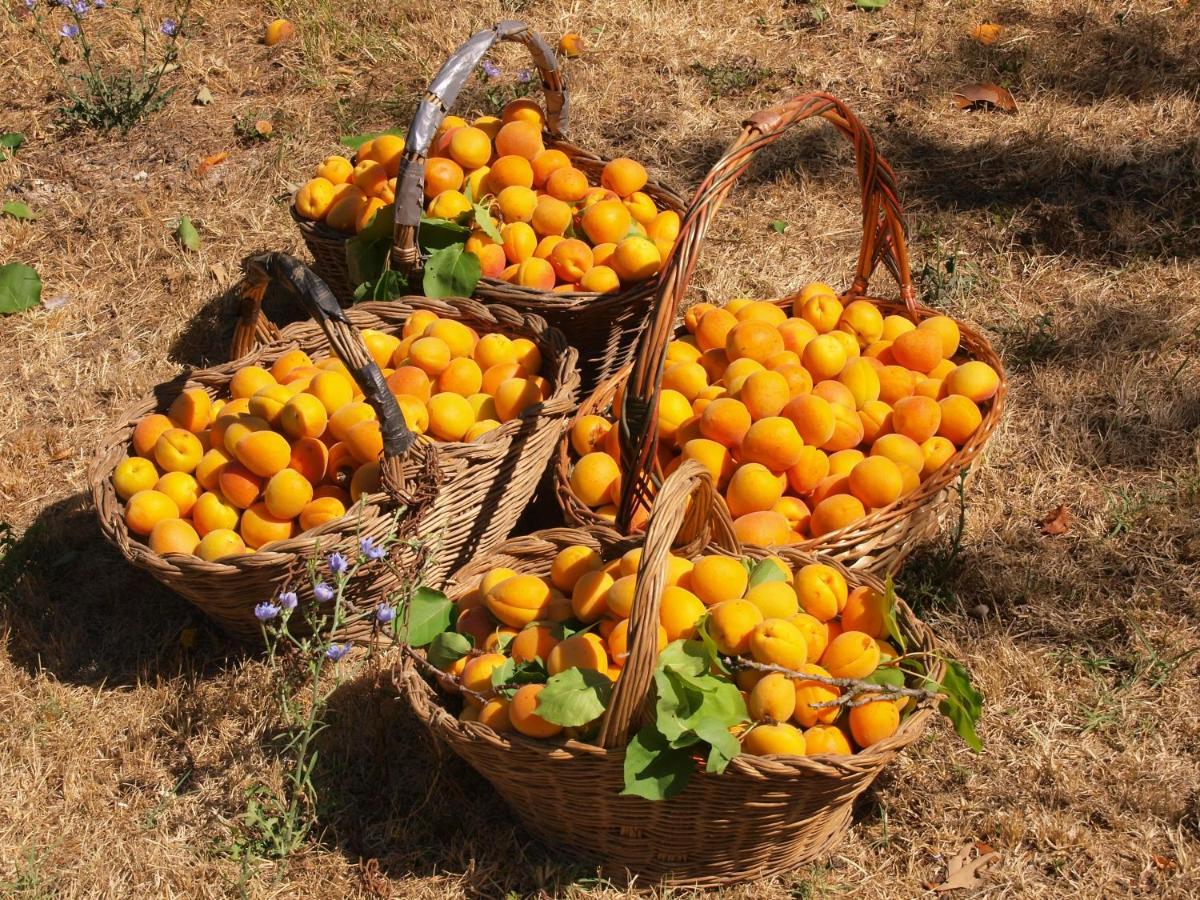 מונטרוני ד'ארביה Agriturismo La Roverella מראה חיצוני תמונה