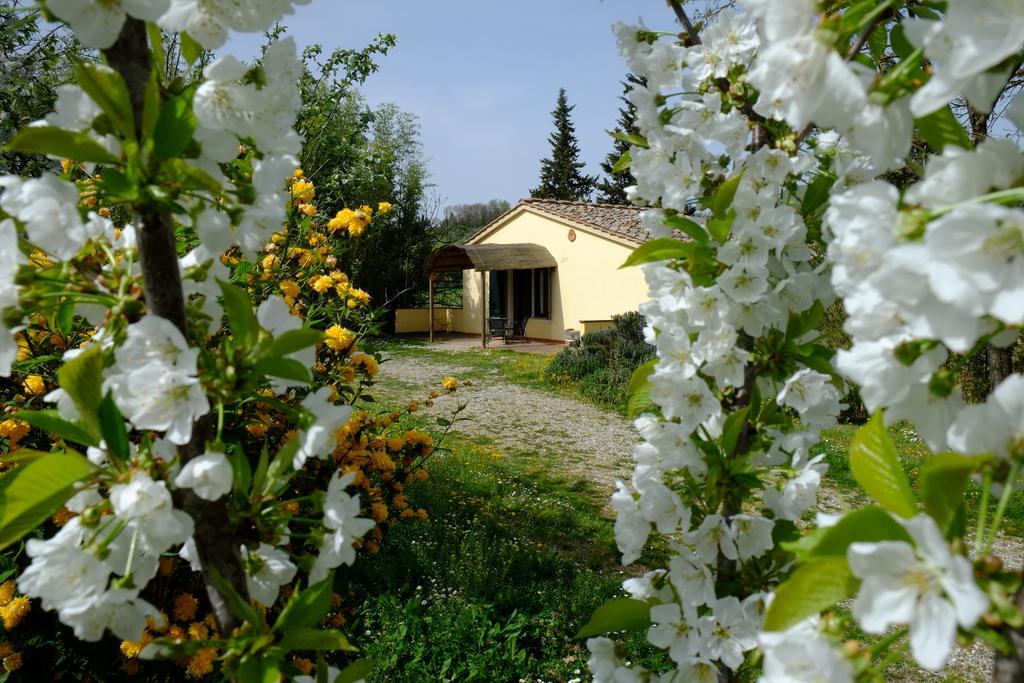 מונטרוני ד'ארביה Agriturismo La Roverella מראה חיצוני תמונה