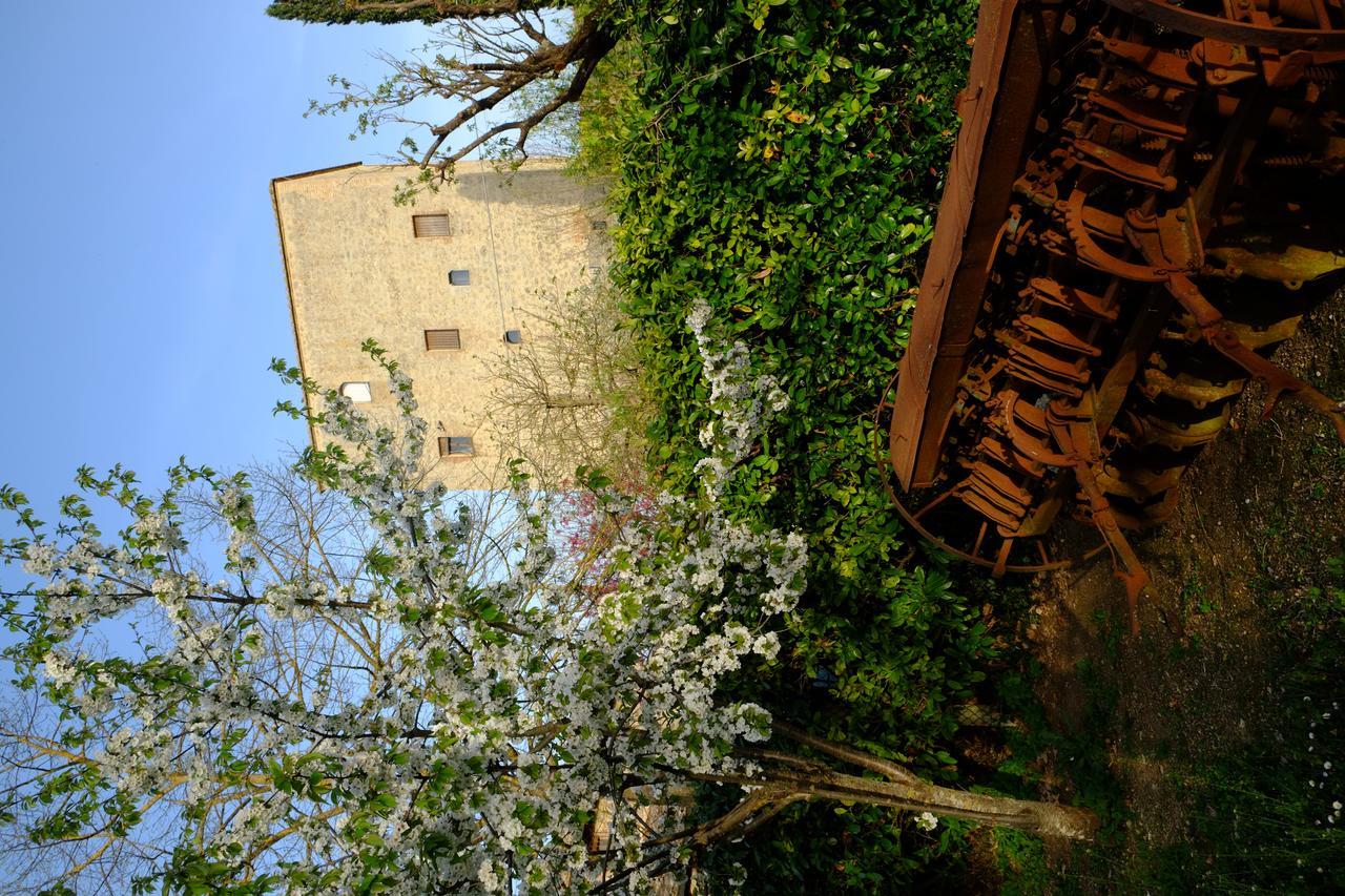 מונטרוני ד'ארביה Agriturismo La Roverella מראה חיצוני תמונה