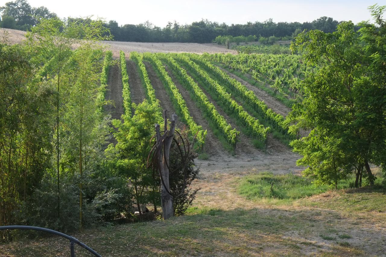 מונטרוני ד'ארביה Agriturismo La Roverella מראה חיצוני תמונה